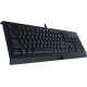 Razer Cynosa Lite (RZ03-02741500-R3R1)